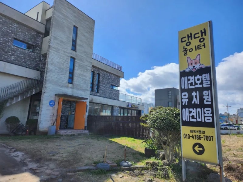 사진 3