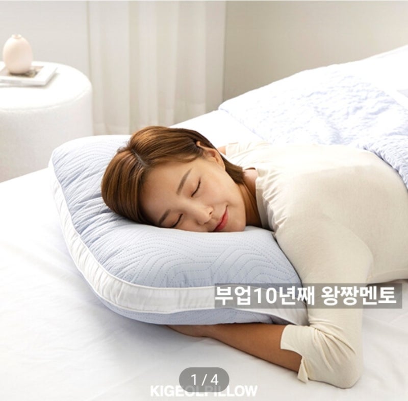 퍼펙트 빨아 쓰는 어깨 편한 기절베개 내돈내산 후기