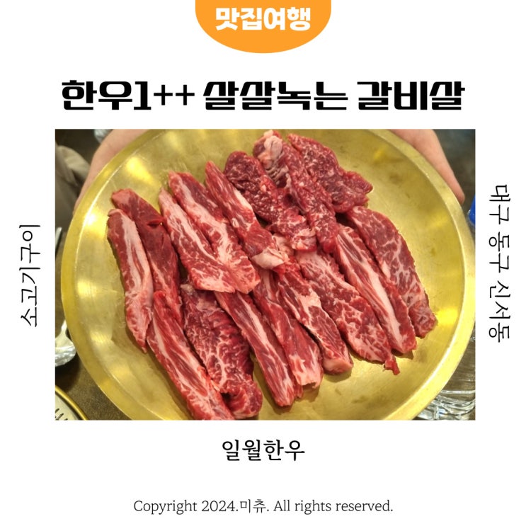  대구 신서동 각산역맛집 투쁠 소고기 식육식당 일월한우