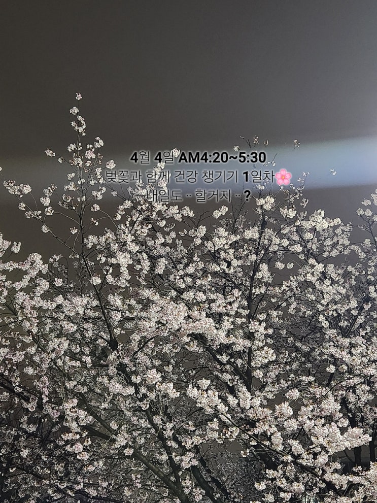  20240401- 교생실습 시작ᆢ