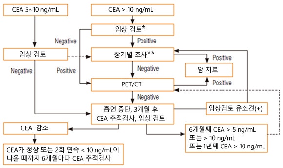 CEA 증가 시의 진단 알고리듬 : 네이버 블로그