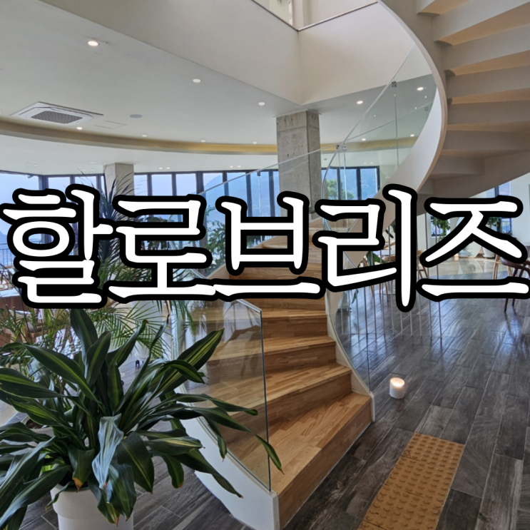  남해베이커리카페 오션뷰 대형카페 '남해 할로브리즈'
