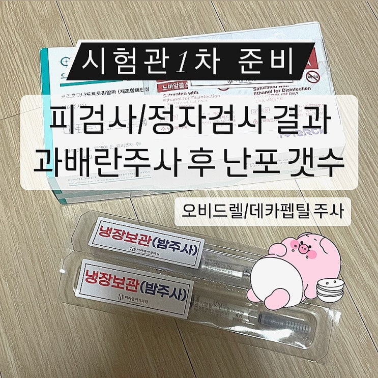 대구 미라클 여성의원 시험관준비 피검사 정액검사 결과/과배란주사 후 난포 갯수 오비드렐 데카펩틸 주사