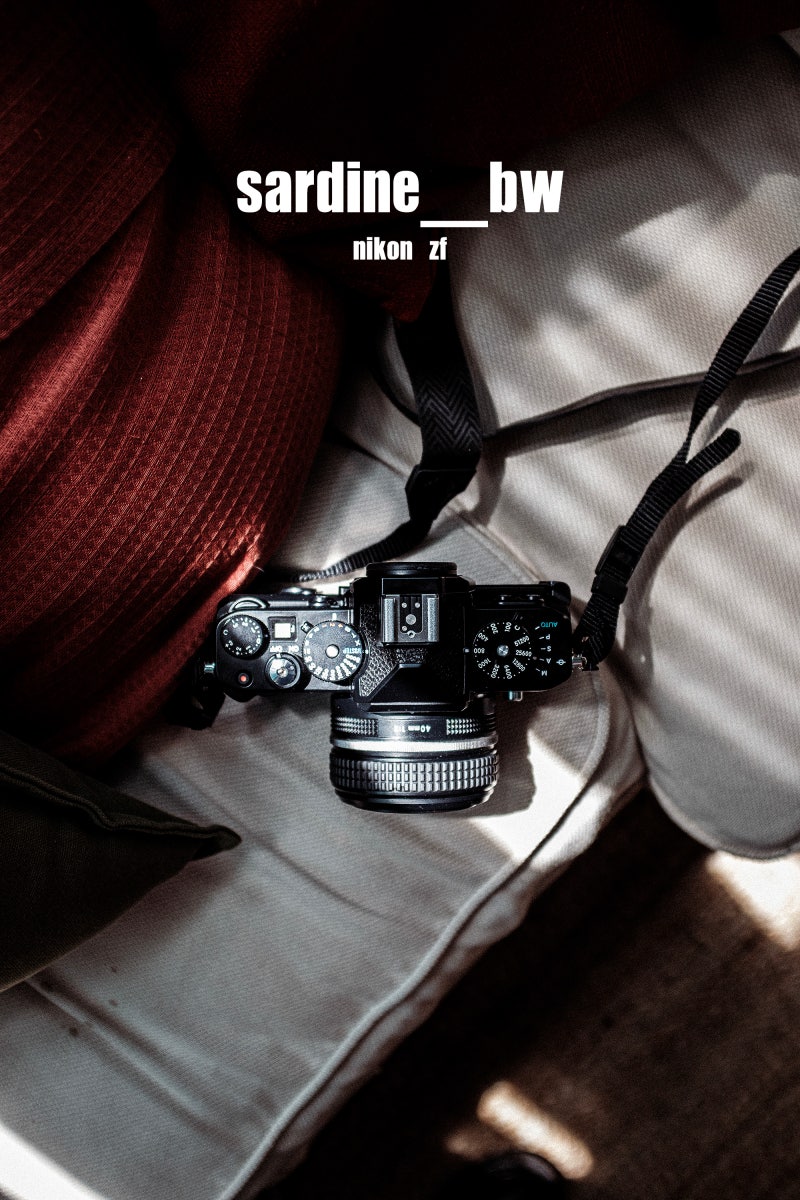 니콘zf + 40mm 구매 후 장단점(10일 사용기) : 네이버 블로그