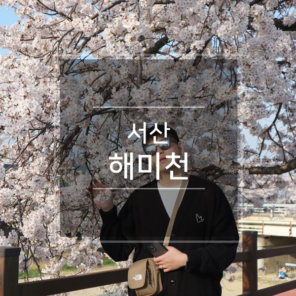  서산 벚꽃명소 해미천 해미성지성당 벚꽃축제 나들이 충남 여행지 아이와 가볼만한곳 놀거리 충청도 1박2일 촬영지