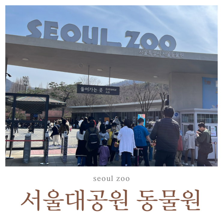  서울대공원 동물원 할인 카카오T 주차 이용방법