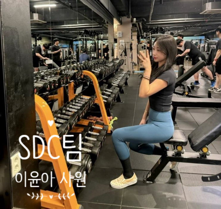 벚꽃보다 회사 한 SDC팀 건강 지킴이 벚꽃보다 회사 한 SDC팀 건강 지킴이