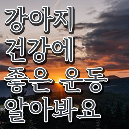  반려견운동지도사 온라인 교육 , 반려견운동지도사 자격증 현황과 채용 정보 준비했어요
