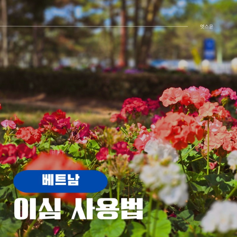 베트남 달랏 유심 이심 사용법 갤럭시24 안드로이드