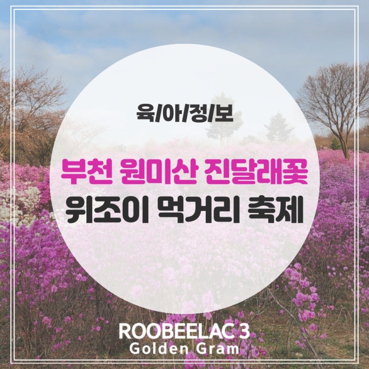  부천 아기랑 꽃구경 원미산 진달래 동산 위조이 먹거리 축제 by.덴마크 슈퍼 프리미엄 분유 루비락 3