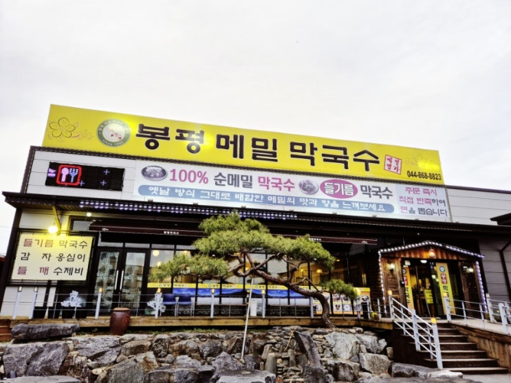  들기름 막국수 맛집 - 봉평 메밀 막국수