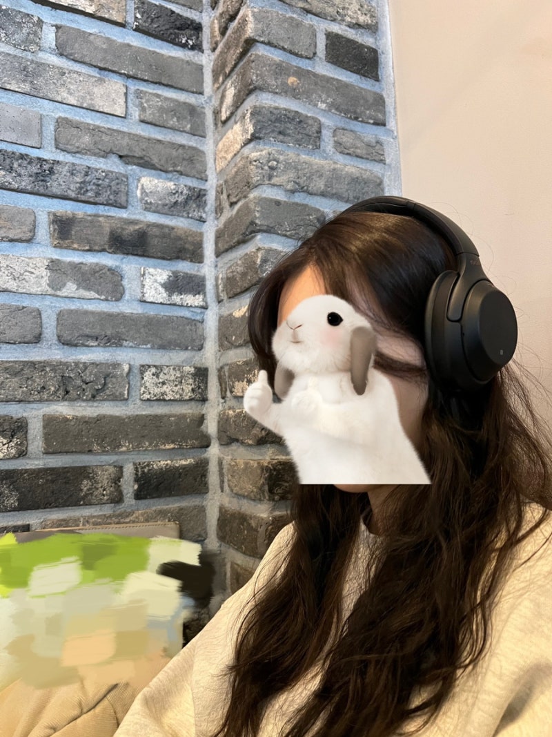 소니 노이즈 캔슬링 헤드셋 WH-1000XM3 장단점 솔직 후기 / + 어플 사용 방법, 소니헤드셋 연결