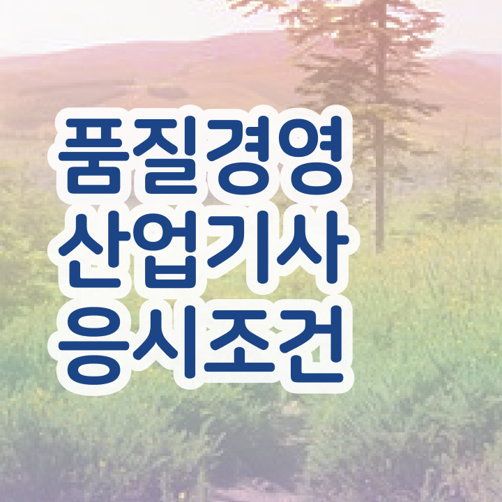  품질경영산업기사 자격 품질경영산업기사 자격증 취득 15주만에 준비했어요