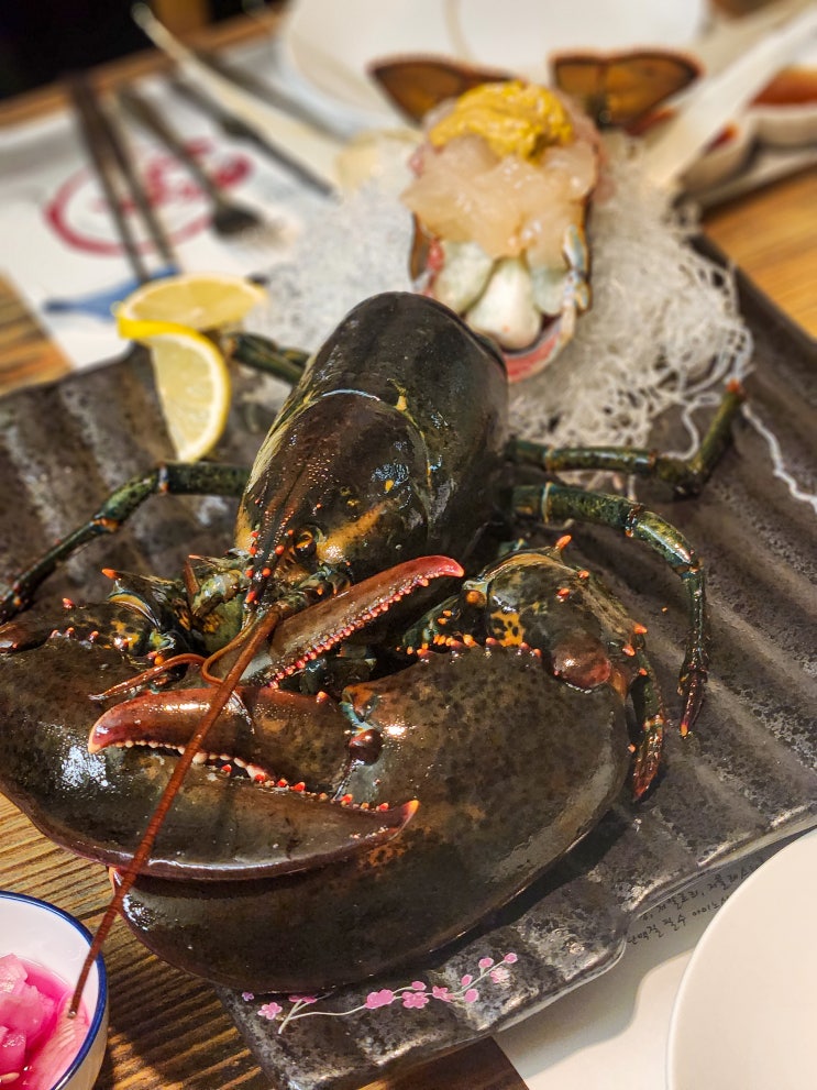  [캐나다노바스코샤]안양 분위기 좋은 랍스타 코스요리 맛집/기념일마다 방문하는 내돈내산 후기