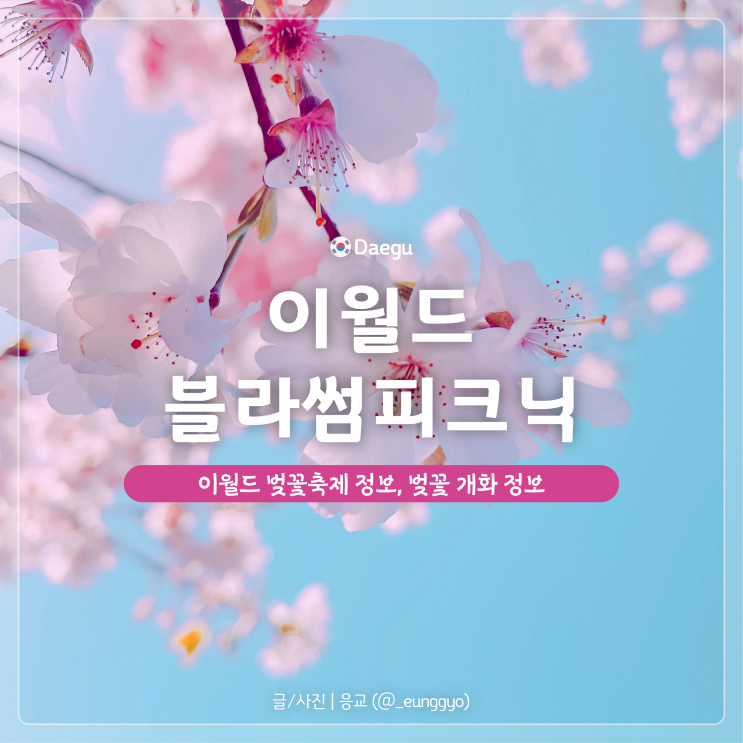  대구 이월드 벚꽃 | 라라랜드, 블라썸 피크닉 기본정보, 실시간 개화상황