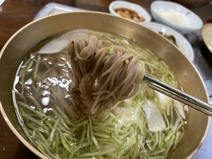용암리막국수 양주 은현면 줄서먹는 오픈런 TV속맛집