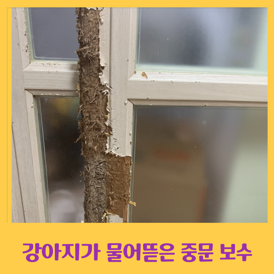 강아지가 물어뜯은 중문 보수