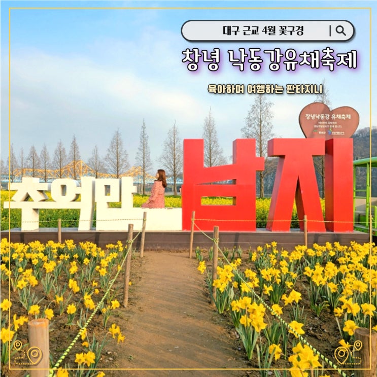  창녕 남지 유채꽃축제 - 대구근교 4월 꽃구경은 여기! 낙동강유채축제 기본정보, 출연가수 라인업