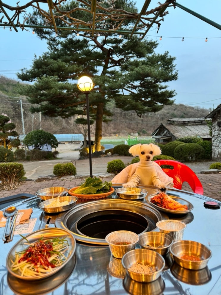  수원 애견동반 식당 어울더울 광교산점 강아지 야외석만 가능