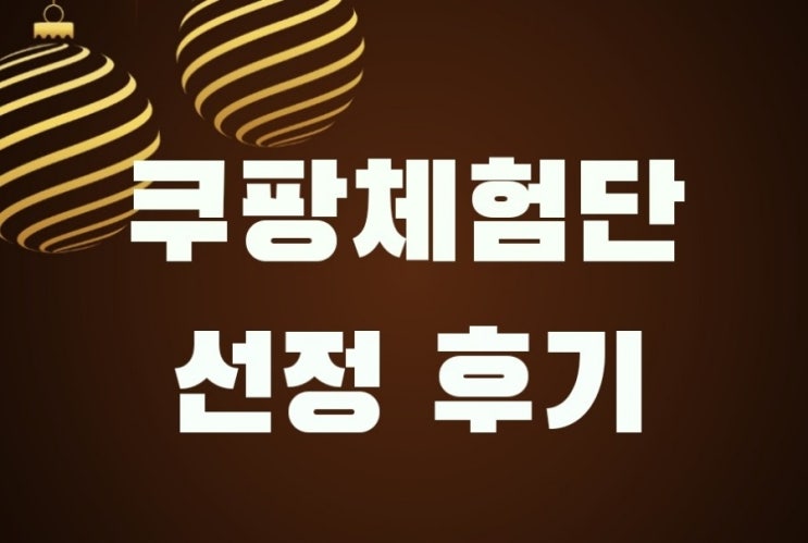  쿠팡 체험단 선정 후기