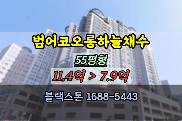  범어코오롱하늘채수 경매 55평 수성구고급아파트 급매