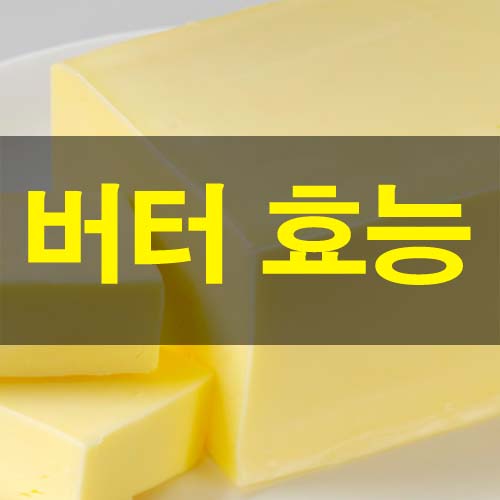  버터 효능 5가지 및 버터 부작용