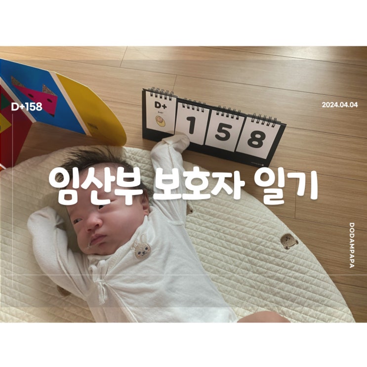 비 온뒤 벚꽃 지고 도담이는 여전히 분유 거부 D+158일 비 온뒤 벚꽃 지고 도담이는 여전히 분유 거부 D+158일