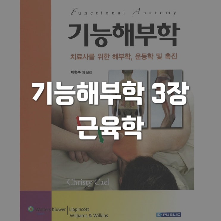  기능해부학 3장 - 근육학