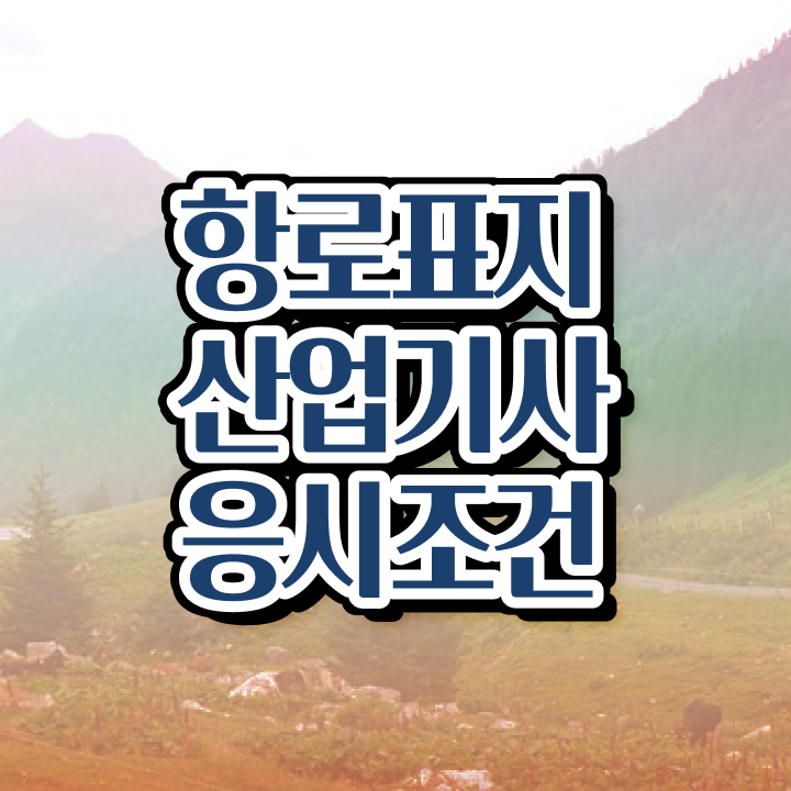  항로표지산업기사 요건 항로표지산업기사 자격증 취득 전격분석