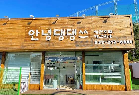 안녕댕댕쓰