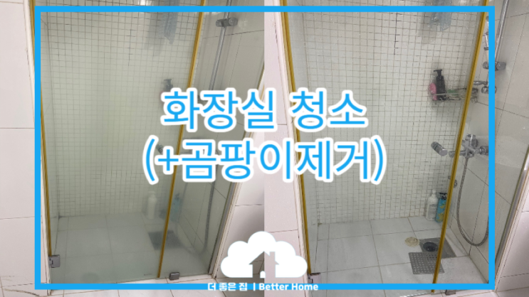  [생활청소] 화장실청소 어렵지 않아요 (샤워부스 물 때 제거)