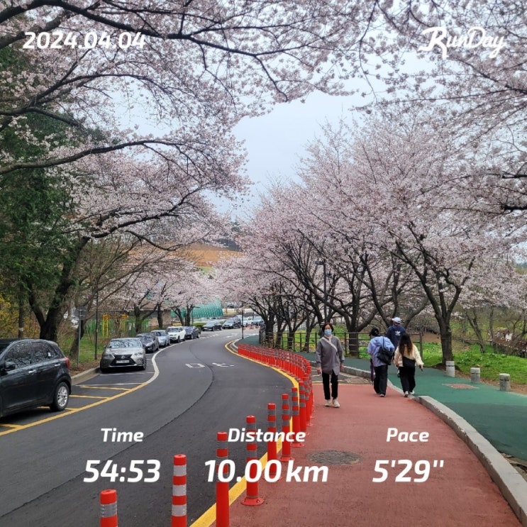  나주 영산강 마라톤 10키로 준비 군산 은파 호수공원 벚꽃 러닝