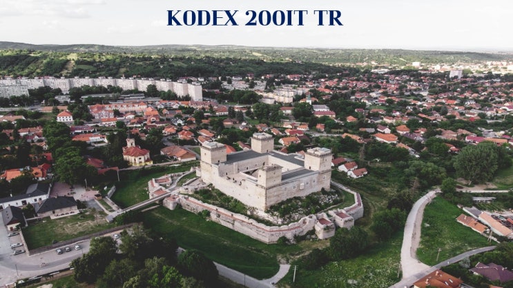 KODEX 200IT TR/363580