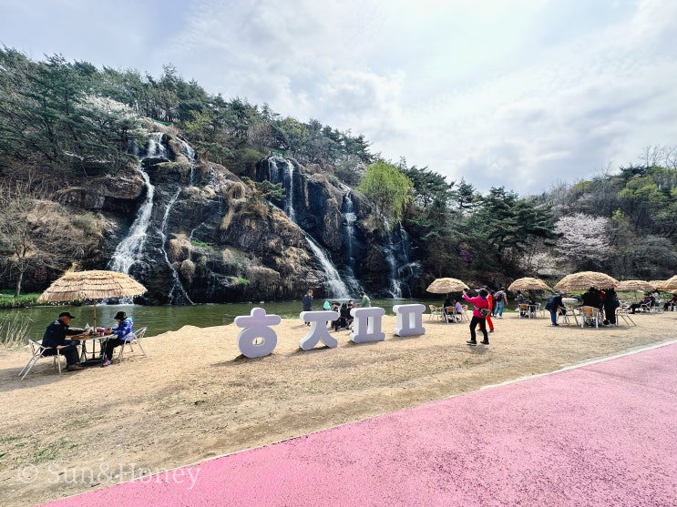  안산 홍제천 서대문 봄빛축제 벚꽃 만발