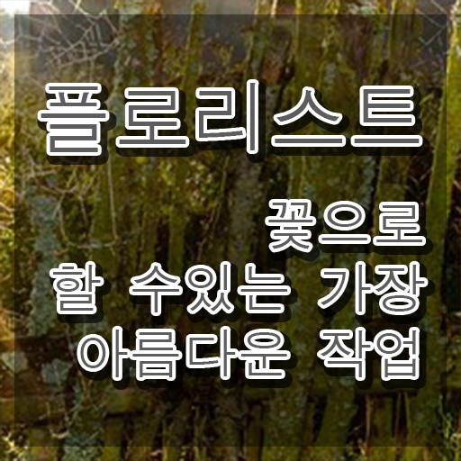  꽃꽂이 방법 , 플로리스트 자격증 온라인 교육 정리해드립니다