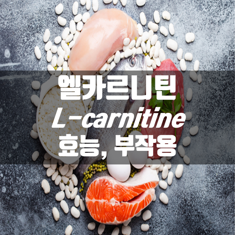 엘카르니틴 L-Carnitine 효능, 부작용, 추천제품 : 네이버 블로그