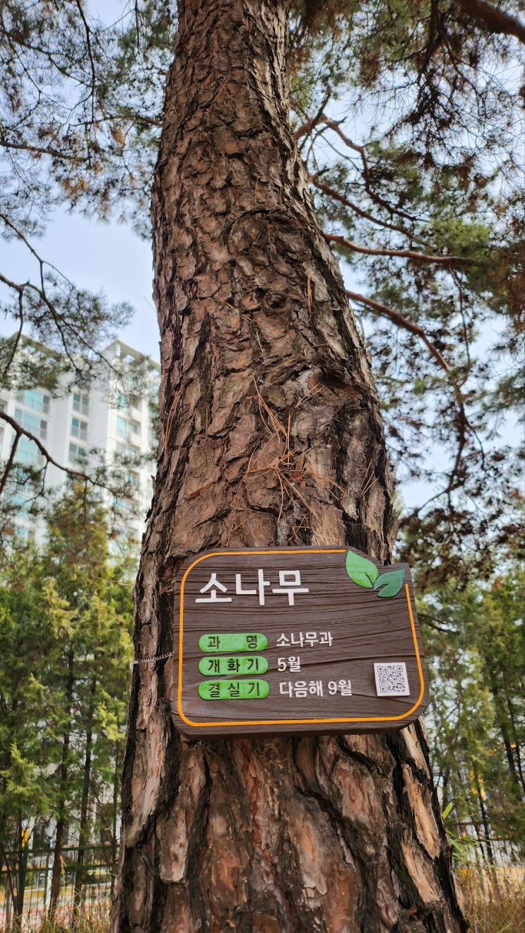  4월 5일은 식목일, 나무심고 기념 수목표찰 달기