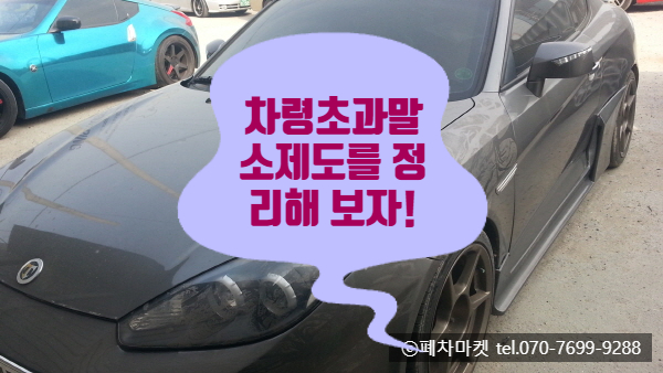  차령초과말소제도를 정리해 보자!