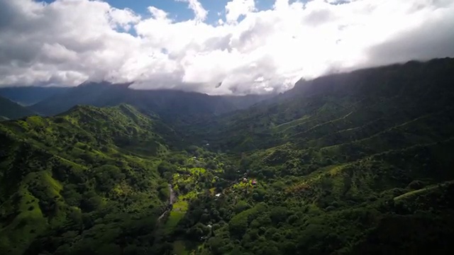  반려동물관리사 취업 , 반려동물관리사 자격증 커리어 활용 방안 필수 정보