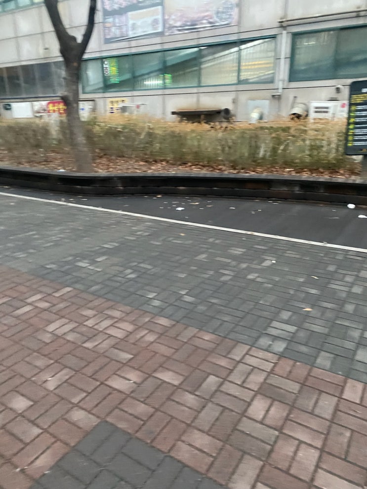  서울 마포 여의도 영등포 구로 보도블럭청소 벚꽃놀이 전 깨끗한 보도블럭으로!