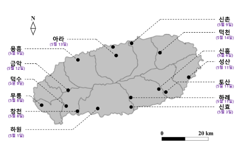 노지 감귤꽃, 5월 9일 정도 활짝 필 듯 노지 감귤꽃, 5월 9일 정도 활짝 필 듯