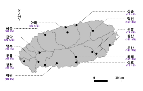 노지 감귤꽃, 5월 9일 정도 활짝 필 듯