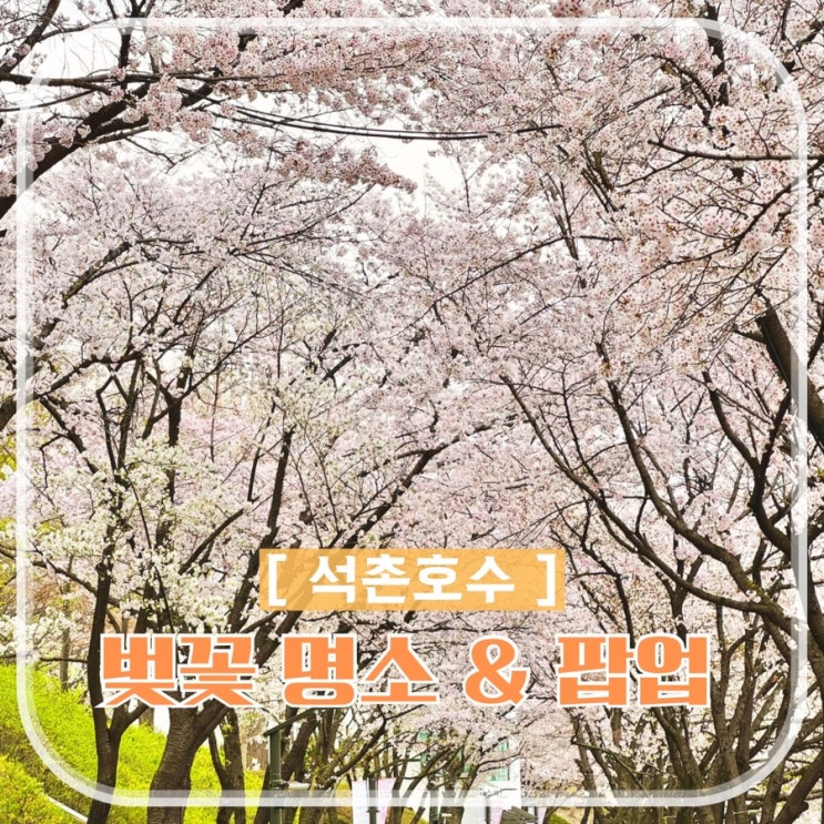  서울 벚꽃 축제 잠실 석촌호수 최고심 롯데 팝콘 팝업 정보들