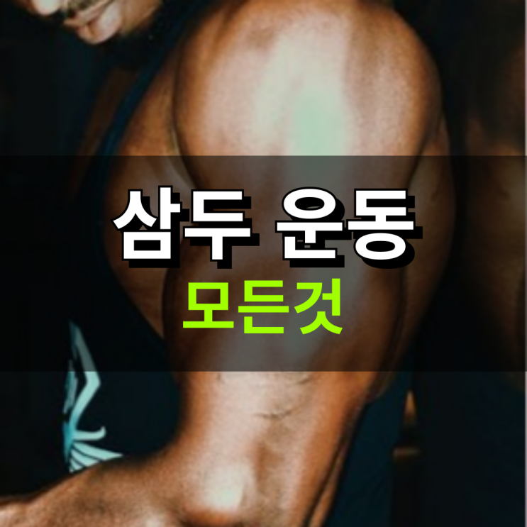  삼두 운동 종류 TOP3에 대해서