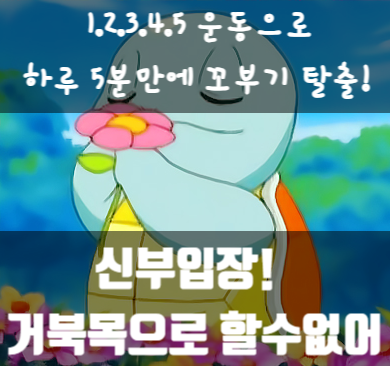  신부입장! 꼬부기로 등장할순 없어! : 1.2.3.4.5 운동으로 거북목 벗어나 백조처럼 입장하자!