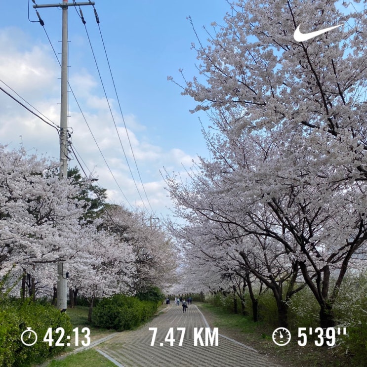  러닝로그_240404 술마시고 다음 날 러닝은 힘들다