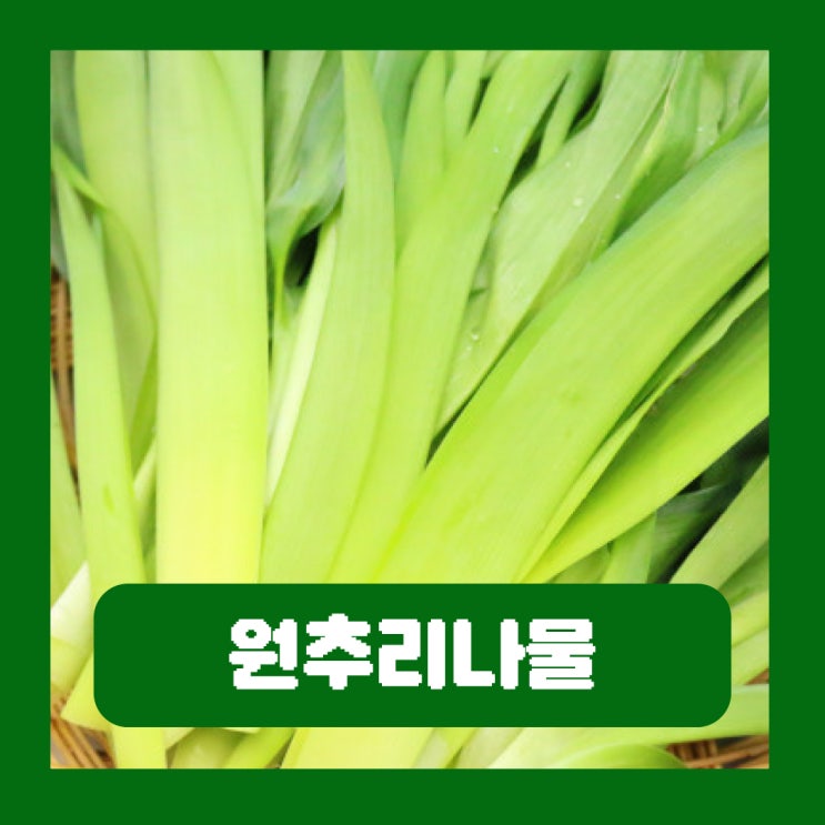  원추리나물 효능 독성 부작용 제거 방법