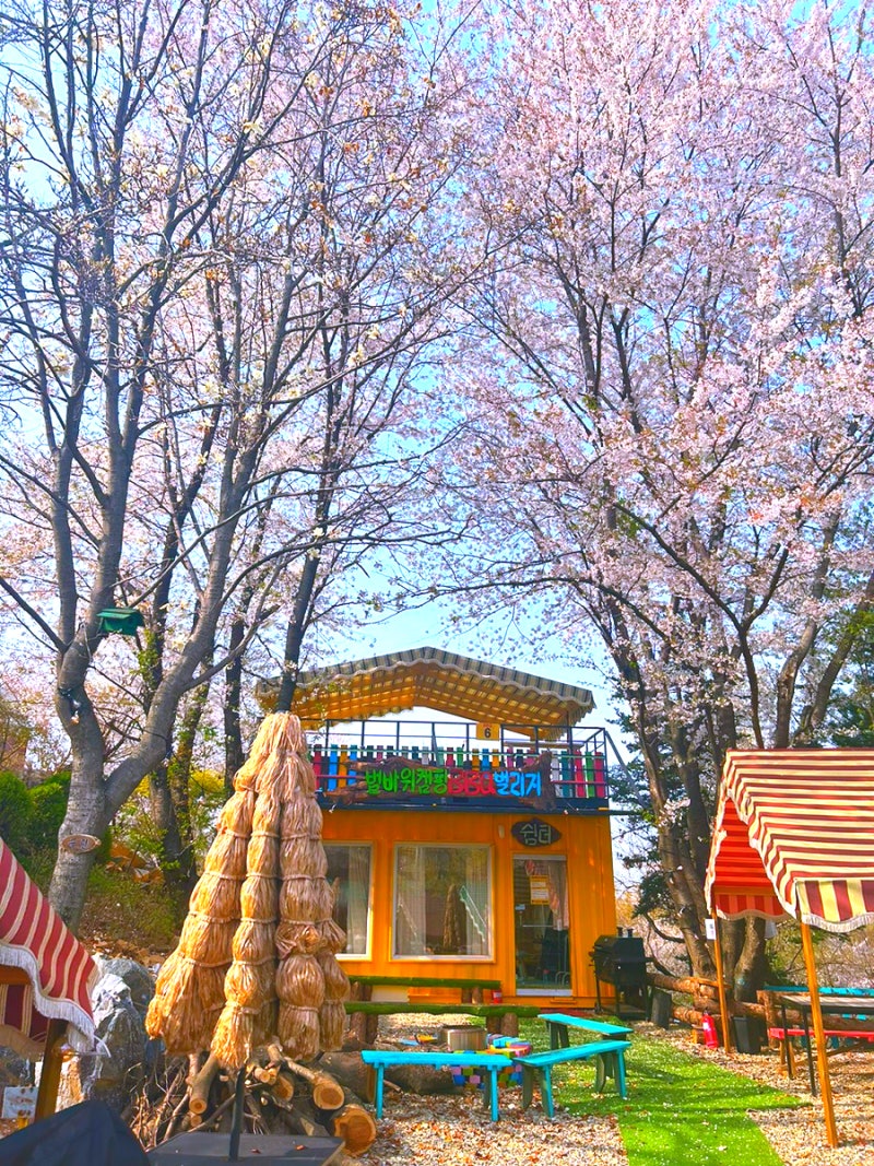 벚꽃캠핑장추천! 김포 범바위캠핑장 명당자리/예약방법