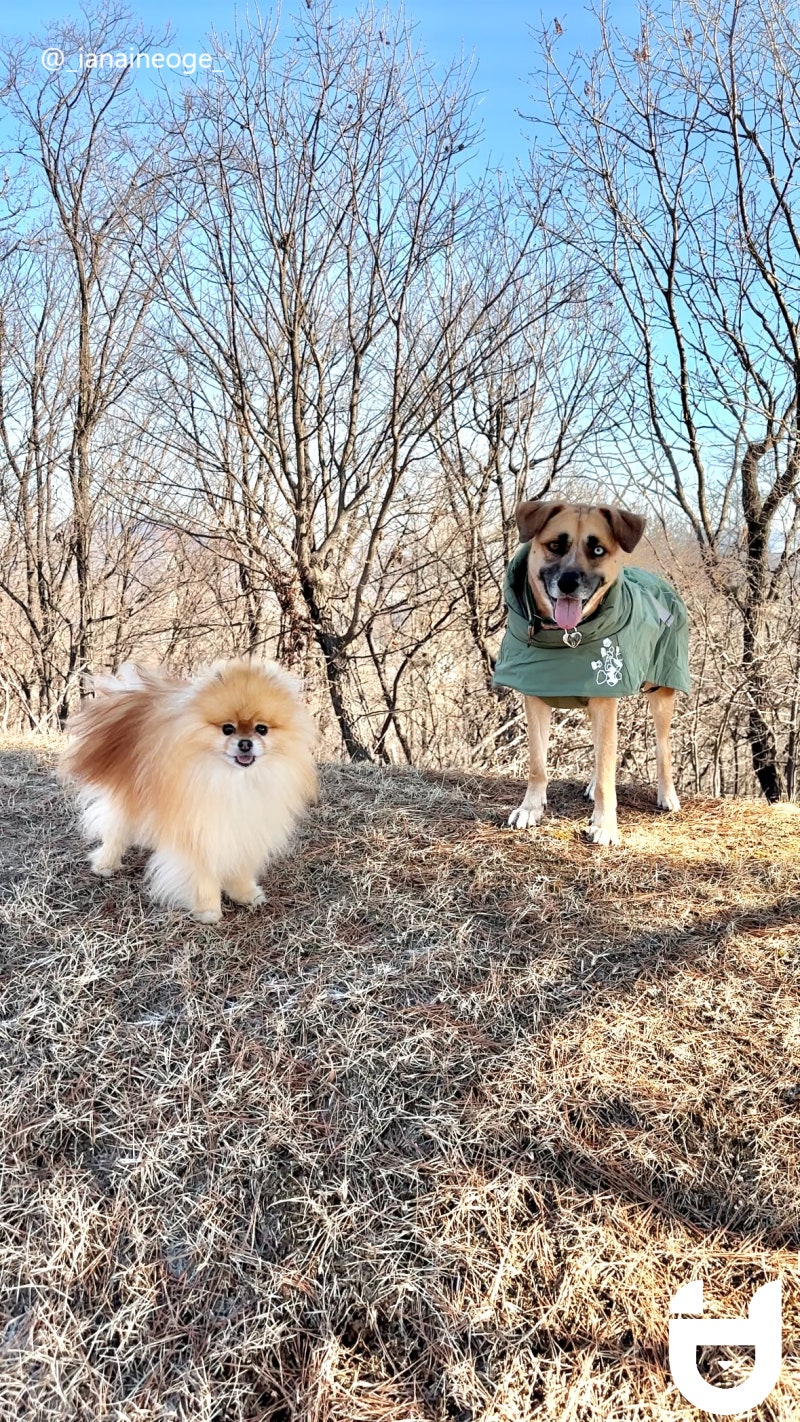 사진 2