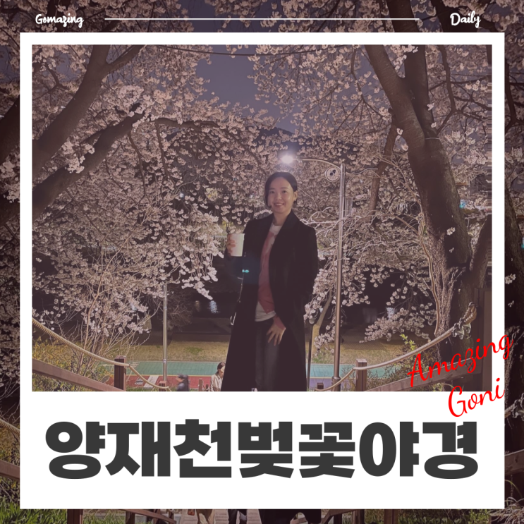 [양재천] 2024.04.04 서울벚꽃명소 양재천 벚꽃 만개 소식!! 낮보다 이쁜 벚꽃야경 (feat. 추천경로 및 벚꽃축제)